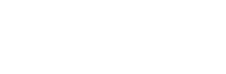 logo-l48conseils-blanc